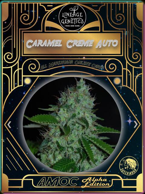 strain card