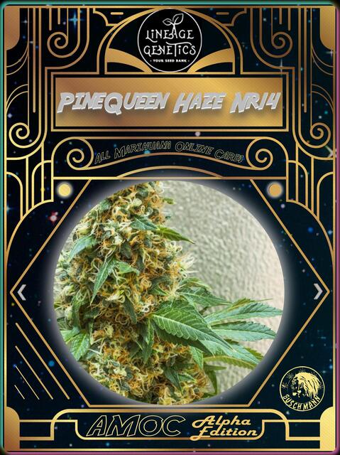 strain card