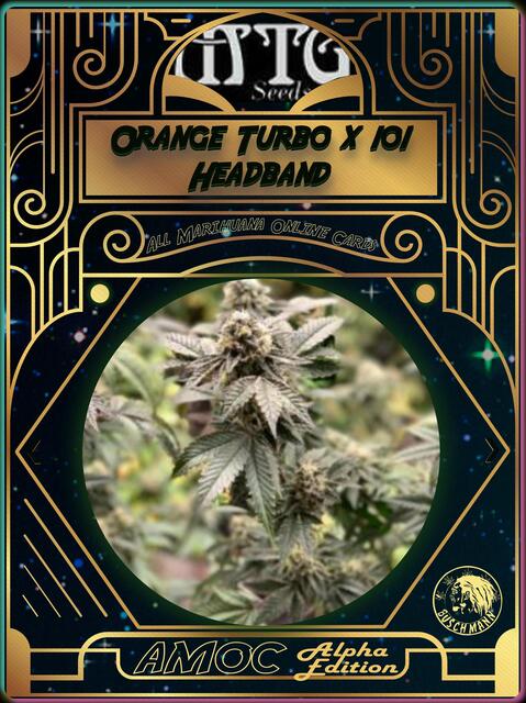 strain card