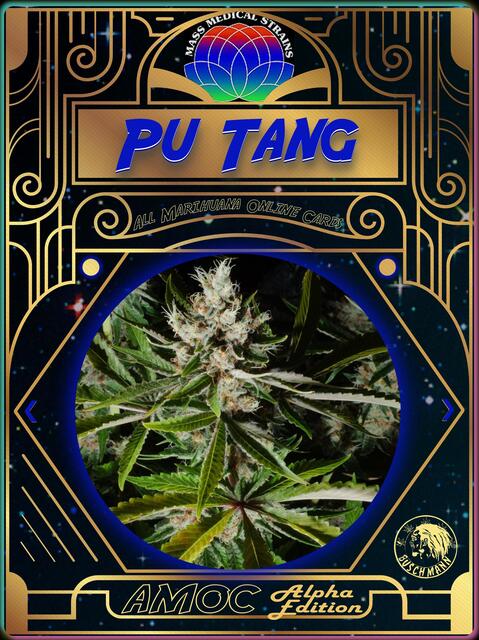 strain card