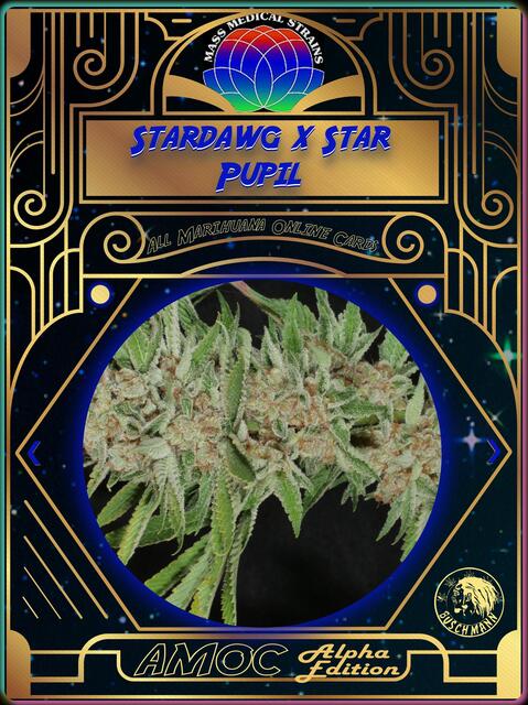 strain card