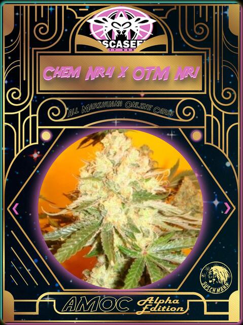 strain card