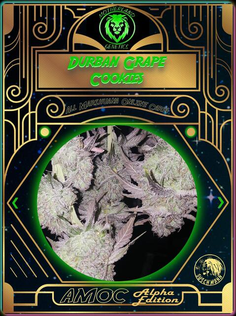 strain card