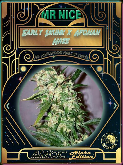 strain card