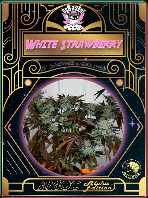 strain card