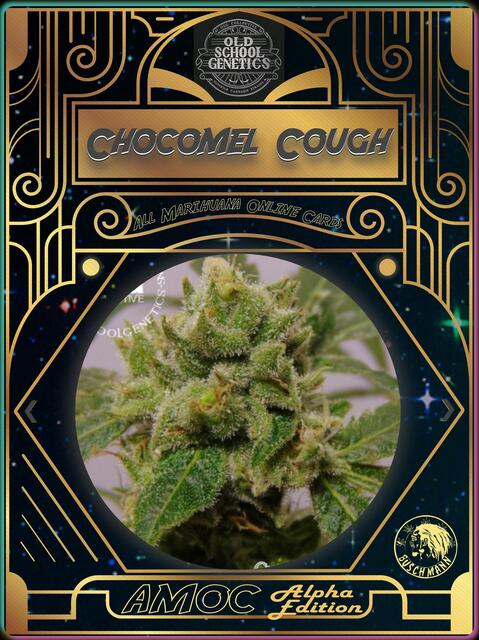 strain card