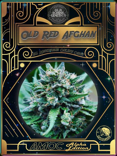 strain card