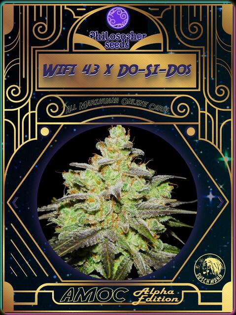 strain card