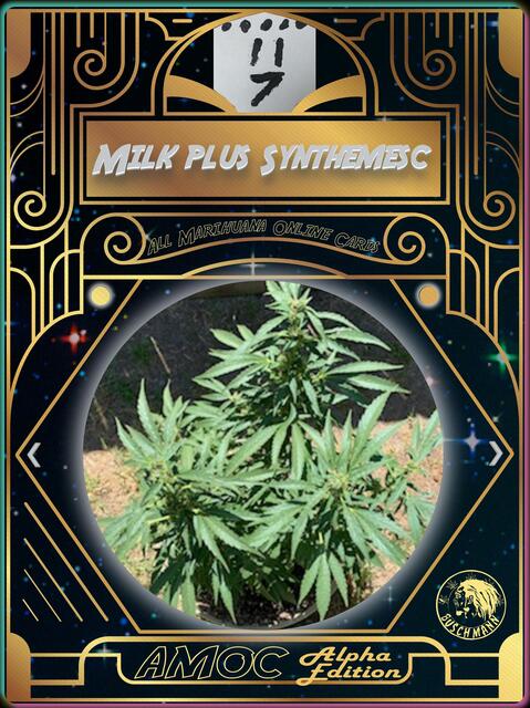 strain card