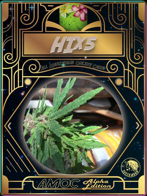 strain card