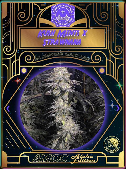 strain card