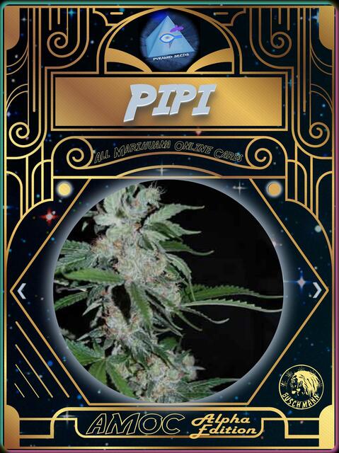 strain card