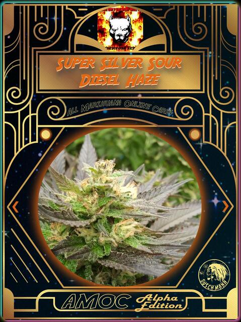 strain card