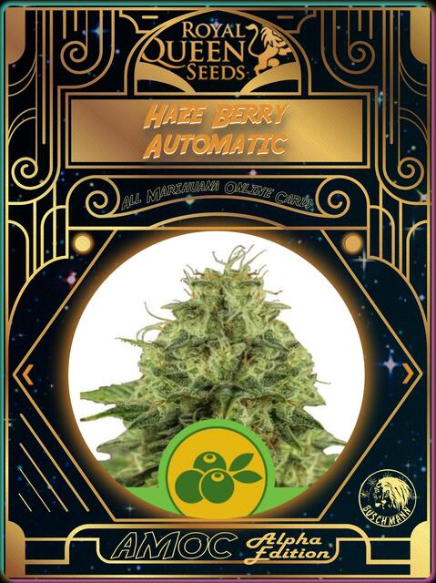 strain card