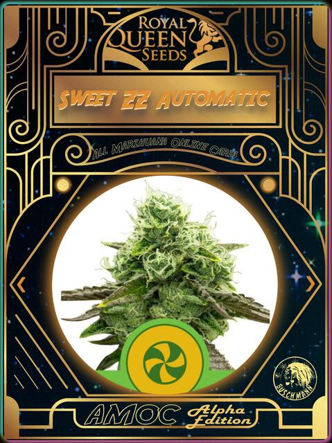 strain card