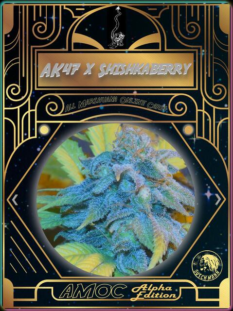 strain card