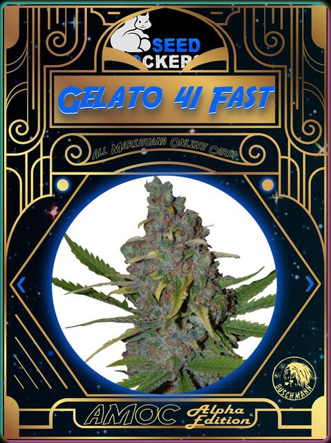 strain card