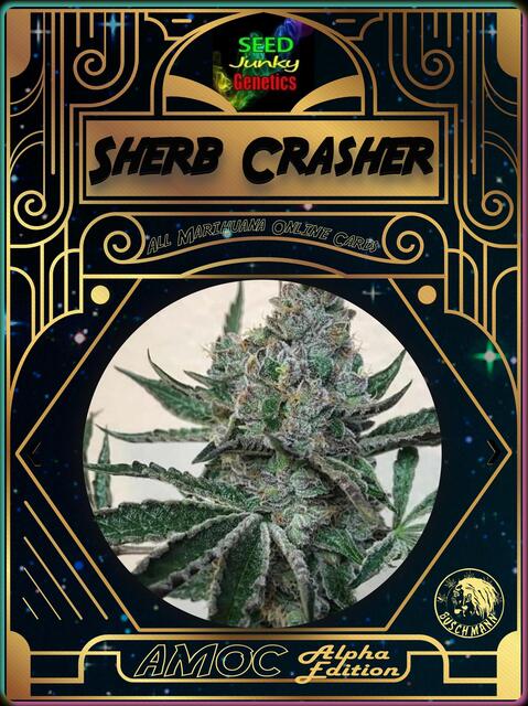 strain card