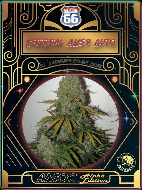 strain card