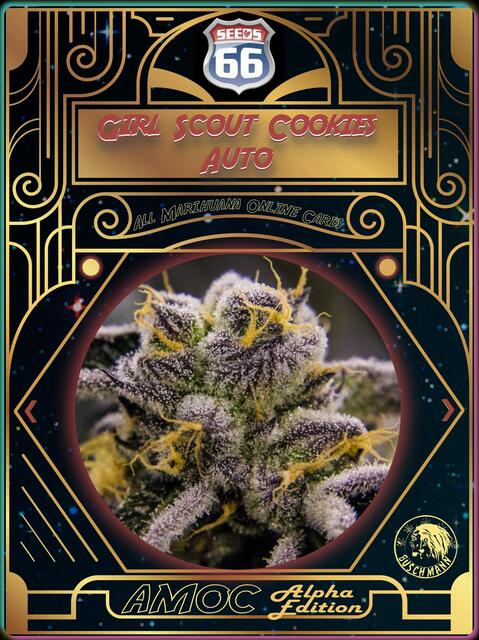 strain card