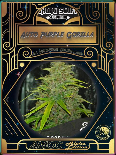 strain card