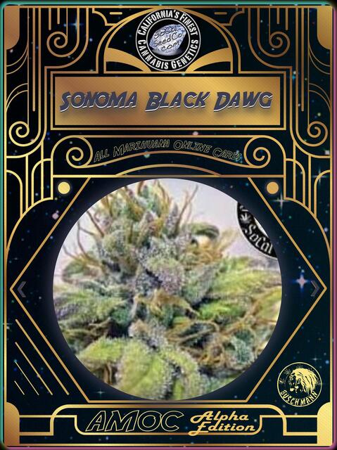 strain card