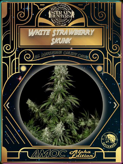 strain card