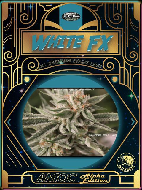 strain card