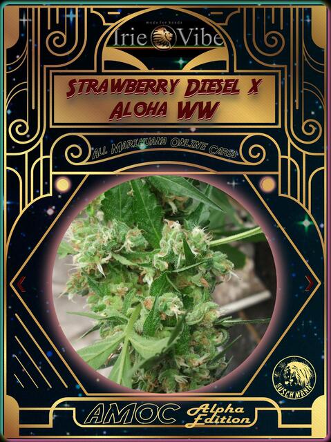 strain card