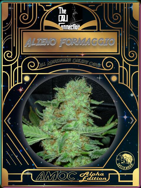 strain card