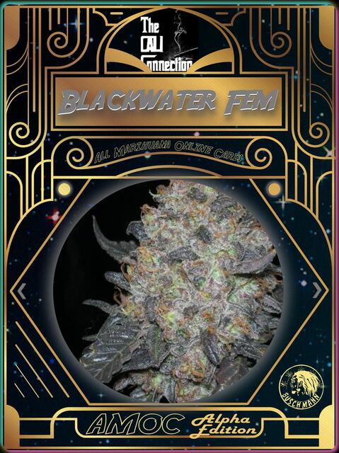 strain card