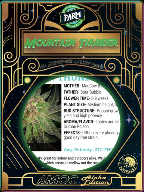 strain card