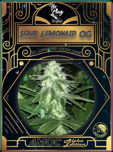 strain card