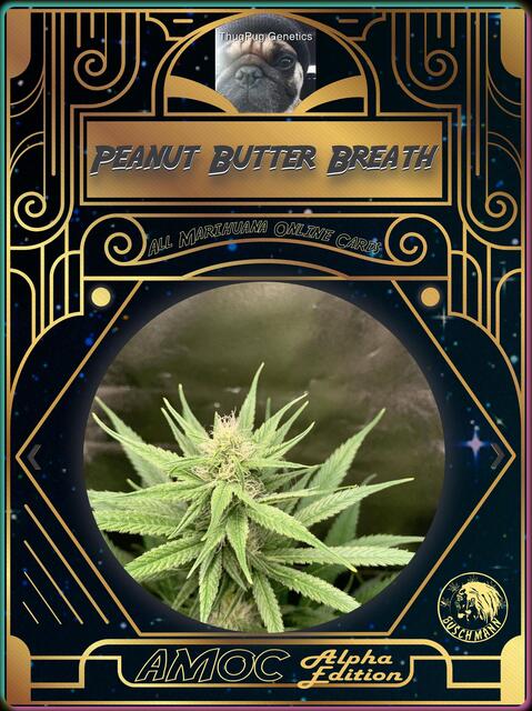 strain card