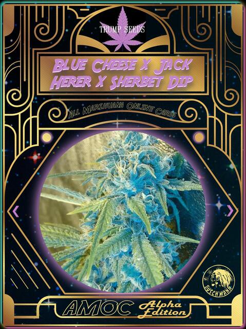 strain card