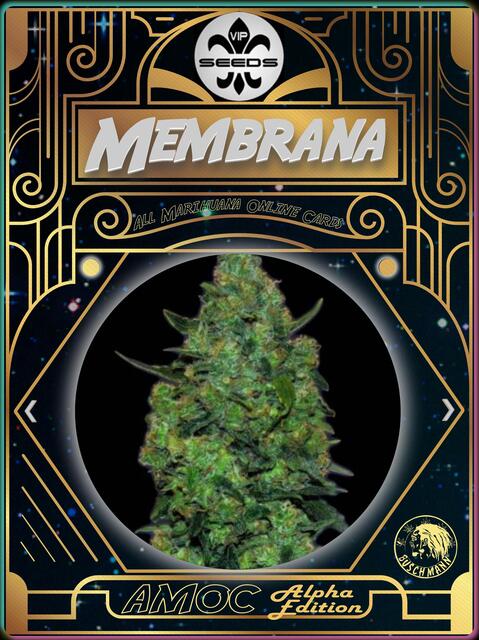 strain card