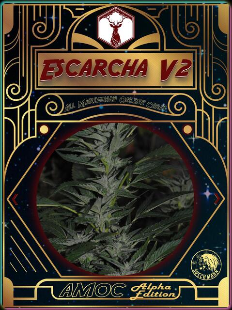 strain card