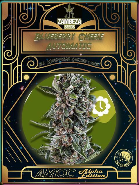 strain card