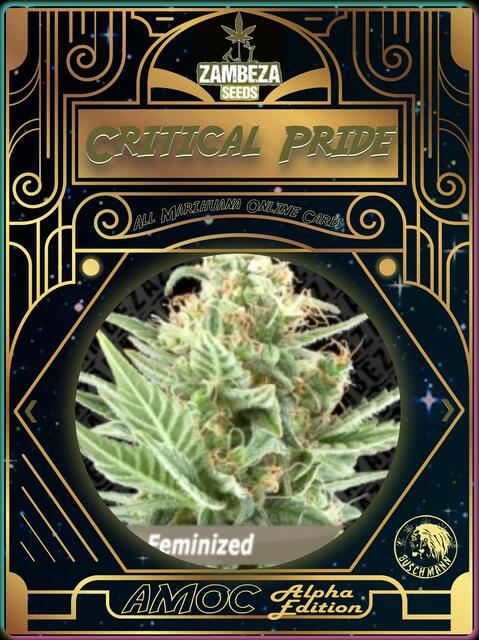 strain card