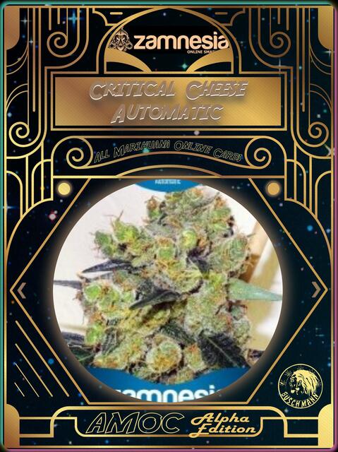 strain card